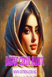 DUTSEN CIKIN RUWA Complete Hausa Novel 
