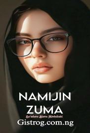 Namijin Zuma Complete Hausa Novel