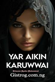 Yar Aikin Karuwai Book 1 