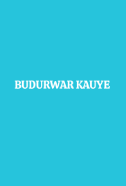 Budurwar Kauye Hausa Novel